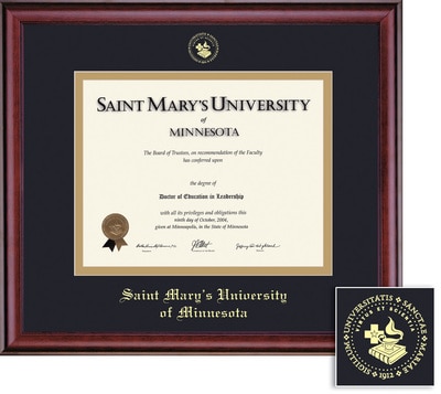 Framing Success 8.5 x 11 Classic Gold Embossed School Seal Bachelors, Masters, Doctorate Diploma Frame