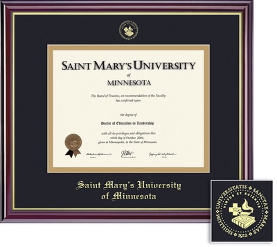 Framing Success 8.5 x 11 Windsor Gold Embossed School Seal Bachelors, Masters, Doctorate Diploma Frame