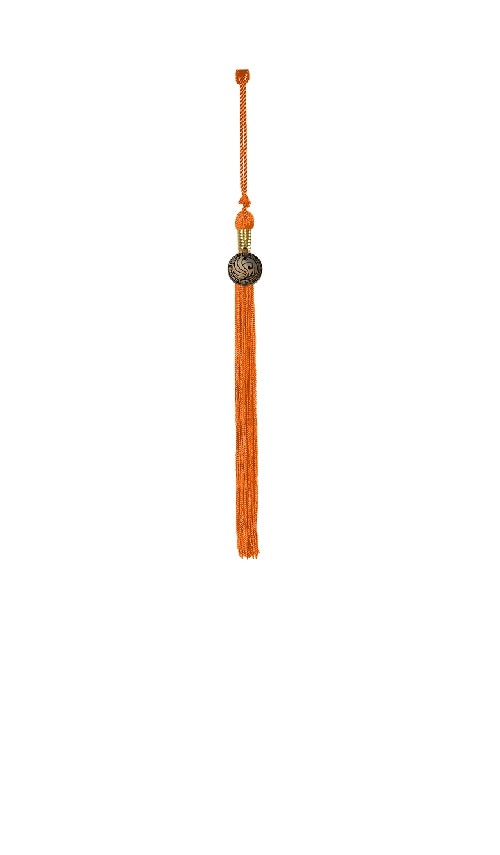 Herff Jones College of Central Florida Tassel:White:One Size