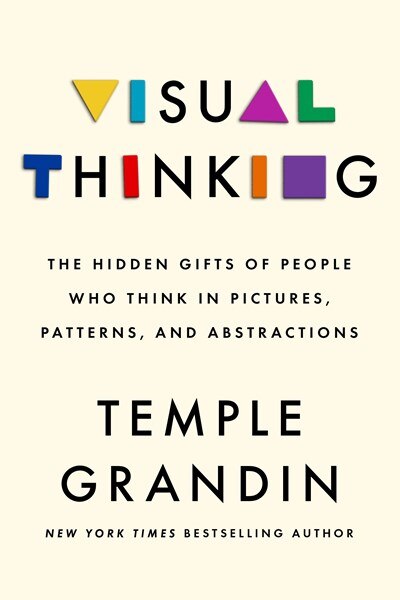 Visual Thinking: The Hidden Gifts of People Who Think in Pictures  Patterns  and Abstractions