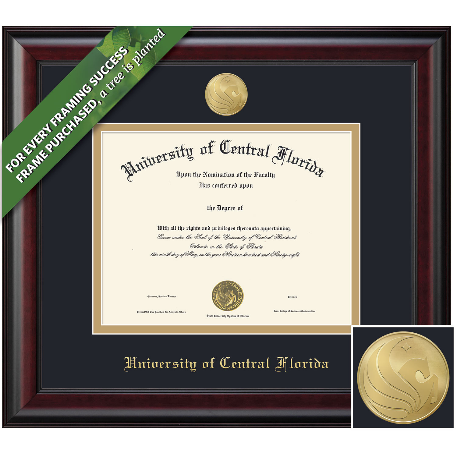 Framing Success 11 x 14 Classic Gold Medallion Masters, Ph.D Diploma Frame