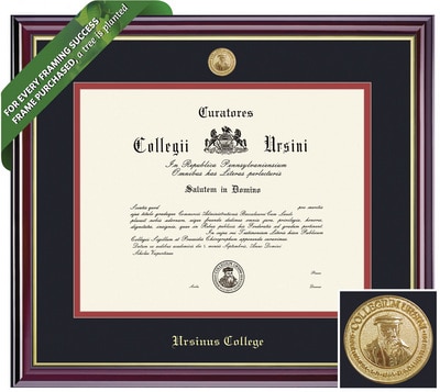 Framing Success 13 x 17 Windsor Gold Medallion Bachelors, Masters Diploma Frame