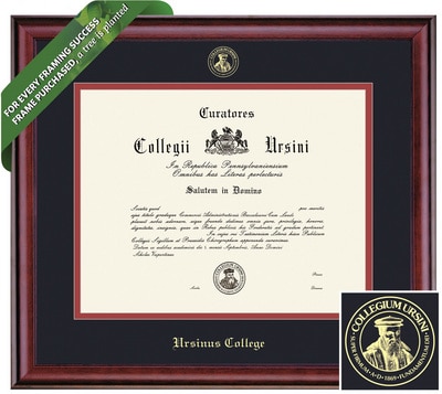 Framing Success 13 x 17 Classic Gold Embossed School Seal Bachelors, Masters Diploma Frame