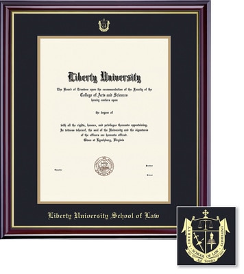 Framing Success 17 x 13 Windsor Gold Embossed School Seal Law Diploma Frame