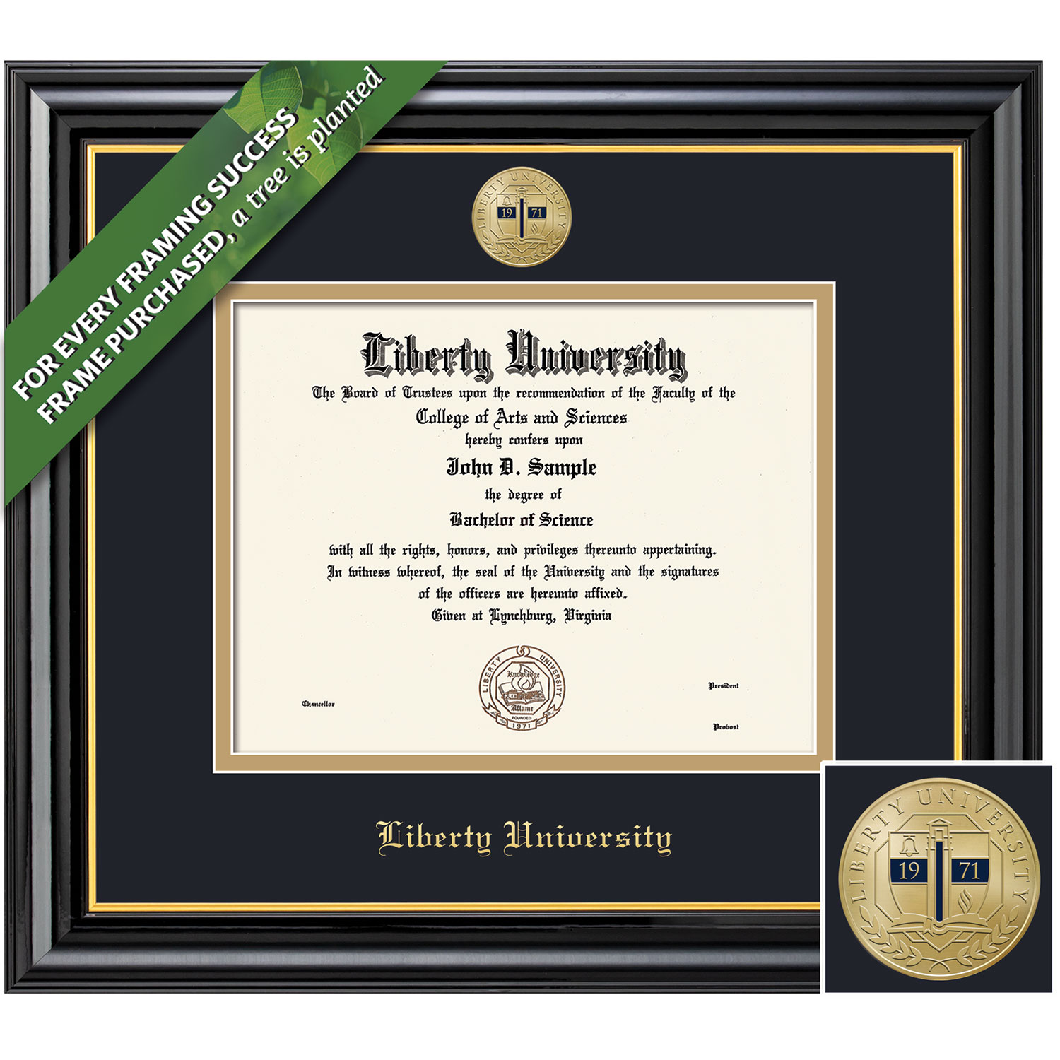 Framing Success 8.5 x 11 Coronado Gold Medallion Bachelors Diploma Frame