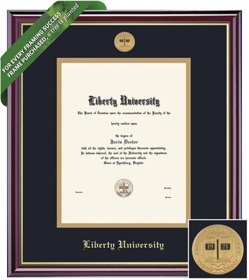 Framing Success 17 x 13 Windsor Gold Medallion Masters, PhD Diploma Frame