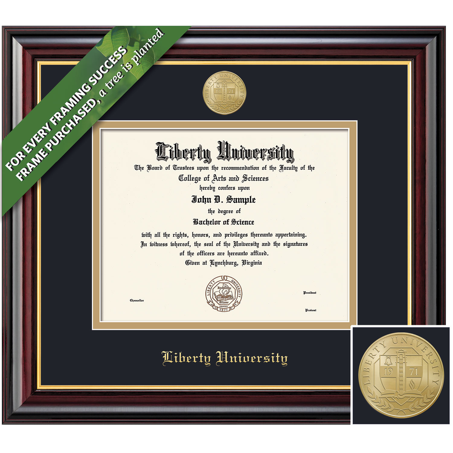 Framing Success 13 x 17 Windsor Gold Medallion Osteopathic MD Diploma Frame
