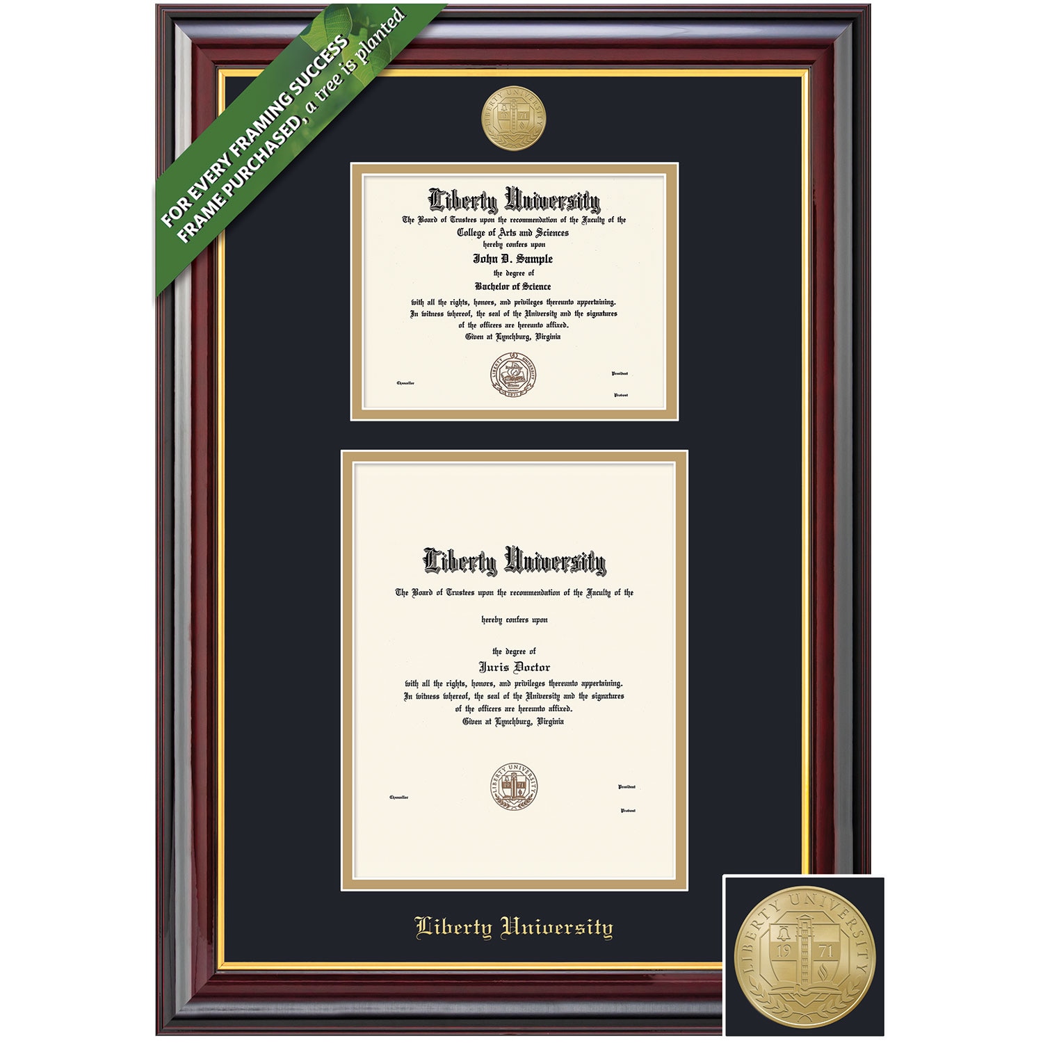 Framing Success 8.5 x 11 and 17 x 13 Windsor Gold Medallion Bachelors and Masters, PhD Double Diploma Frame