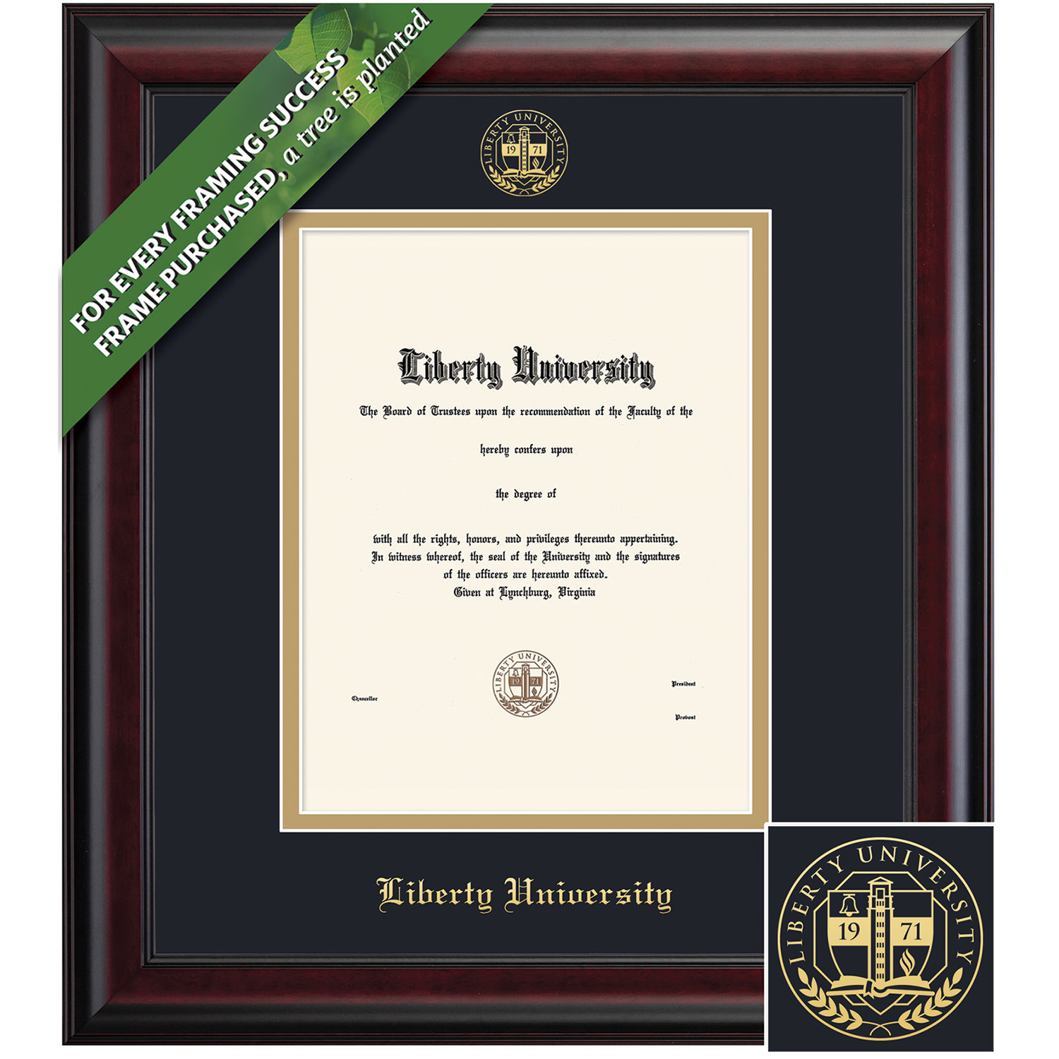 Framing Success 17 x 13 Classic Gold Embossed School Seal Masters, PhD Diploma Frame