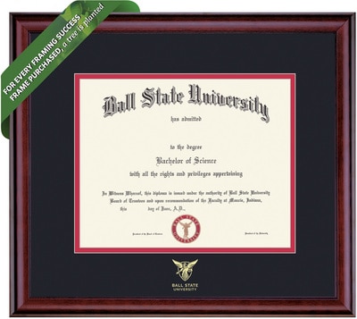 Framing Success 8 x 10 Classic Gold Embossed School Name Bachelors, Masters Diploma Frame