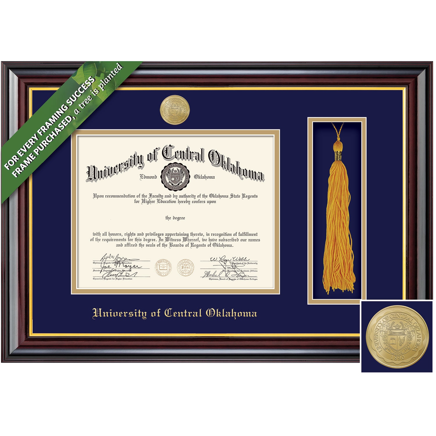 Framing Success 8.5 x 11 Windsor Gold Medallion Bachelors, Masters, Diploma/Tassel Frame
