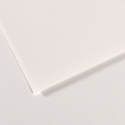 Canson Mi-Teintes Paper Sheet, White