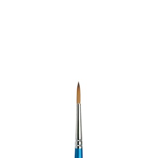 Winsor & Newton Cotman Brush 111, Round 5