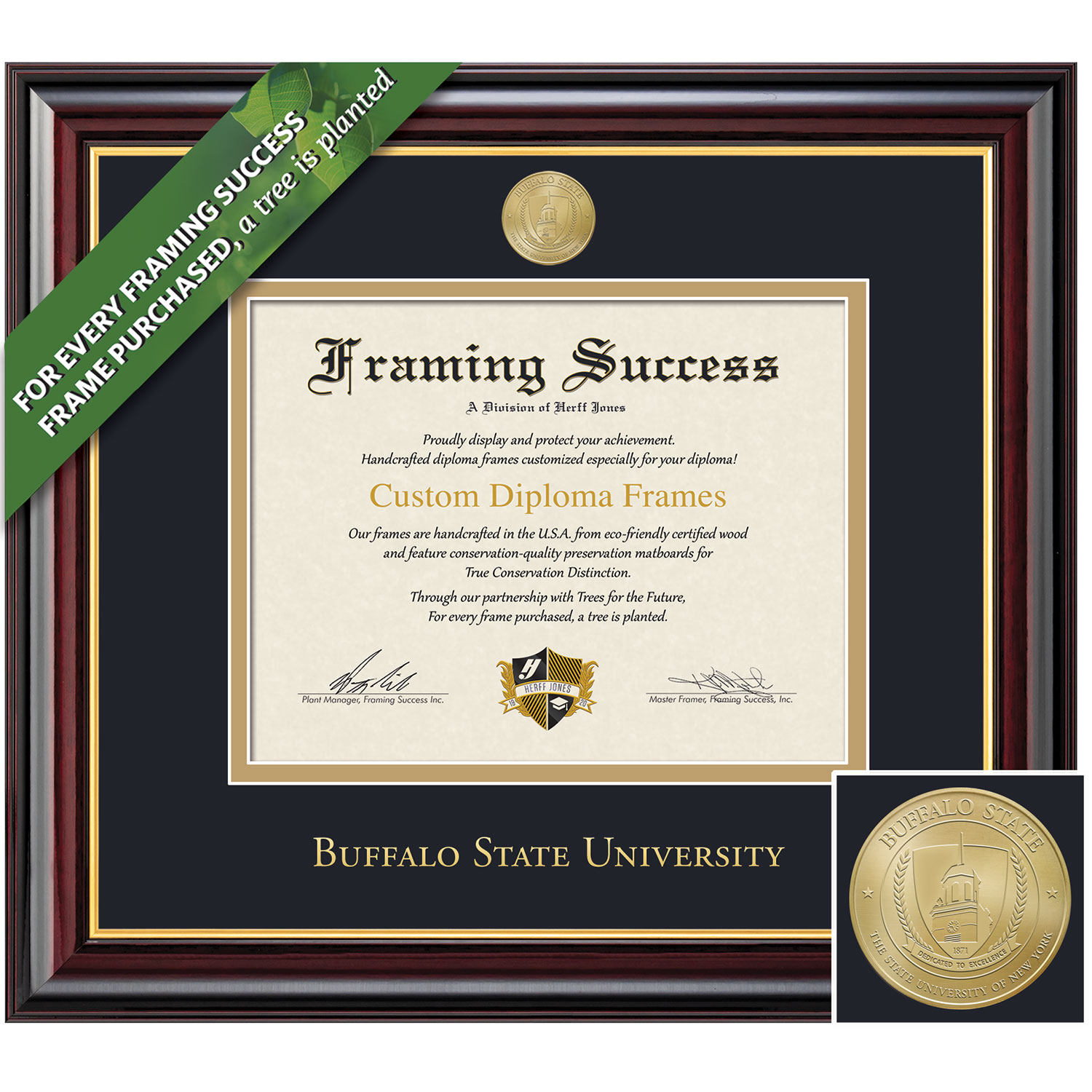 Framing Success 11 x 14 Windsor Gold Medallion Master Diploma Frame
