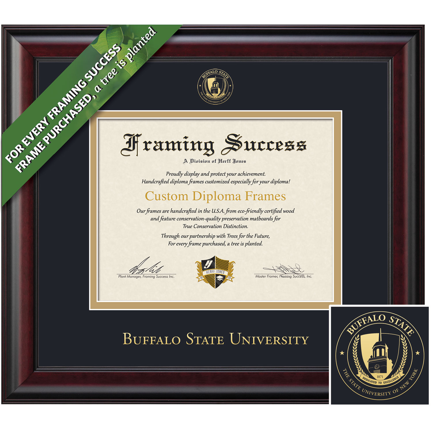 Framing Success 8 x 10 Classic Gold Embossed School Seal Bachelors, Masters Diploma Frame