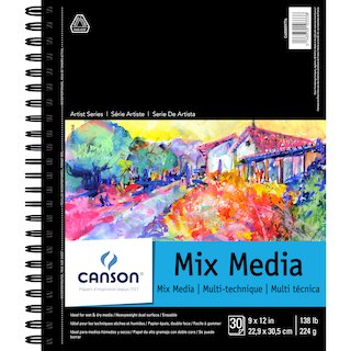 Artst Series Mxmed 9X12(6)