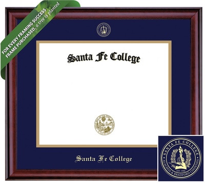 Framing Success 11 x 16 Classic Gold Embossed School Seal Bachelors Diploma Frame