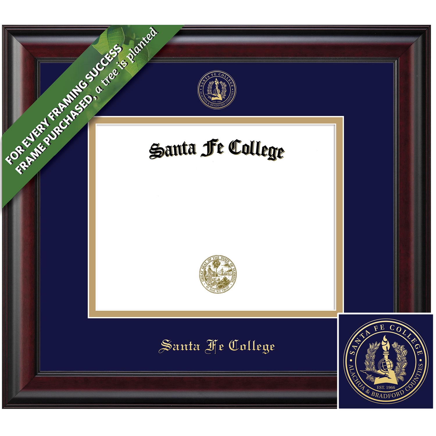 Framing Success 11 x 14 Classic Gold Embossed School Seal Bachelors Diploma Frame