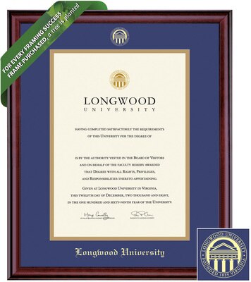 Framing Success 14 x 11 Classic Gold Embossed School Seal Bachelors, Masters, Doctorate Diploma Frame