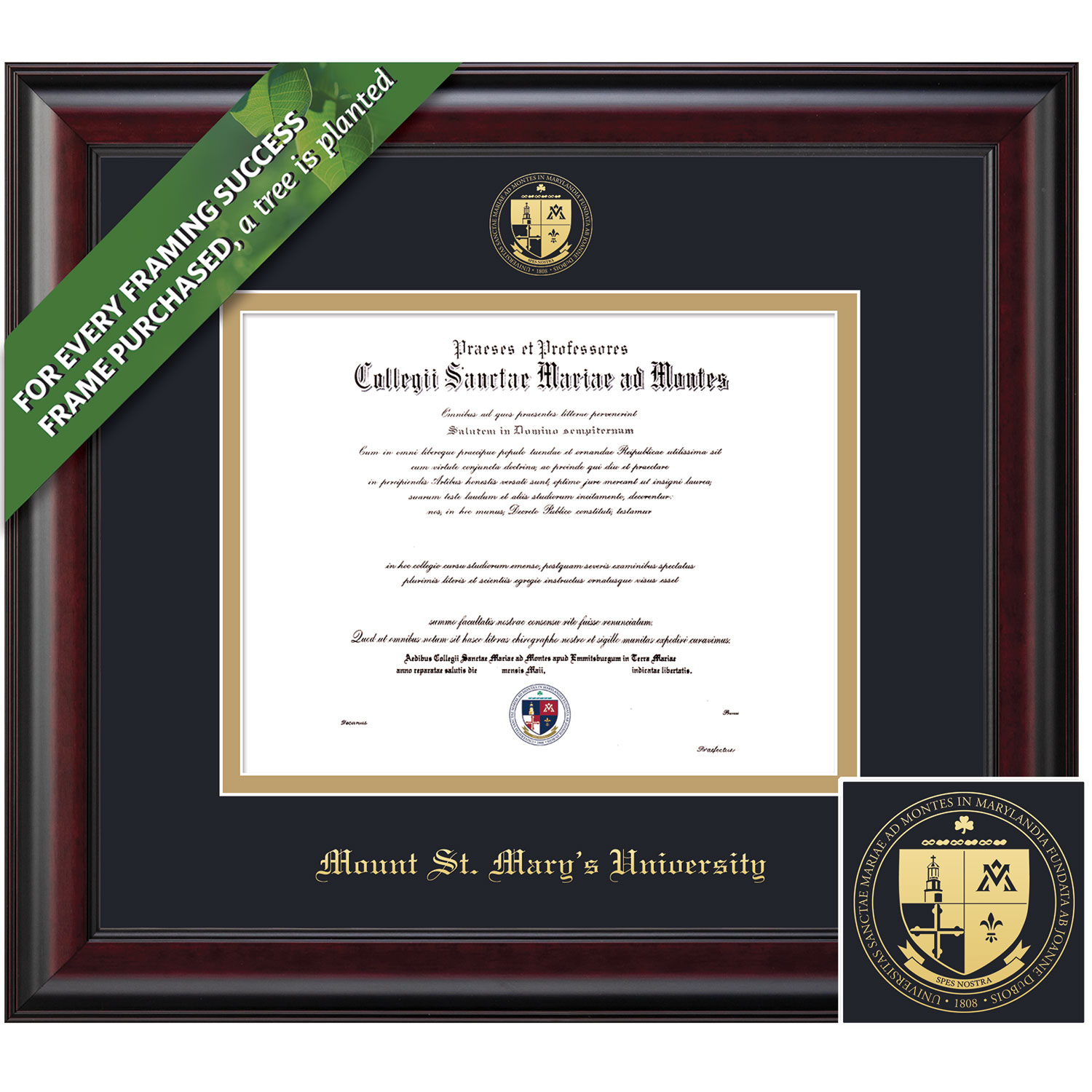 Framing Success 8.5 x 11 Classic Gold Emb School Seal Bachelors Diploma Frame