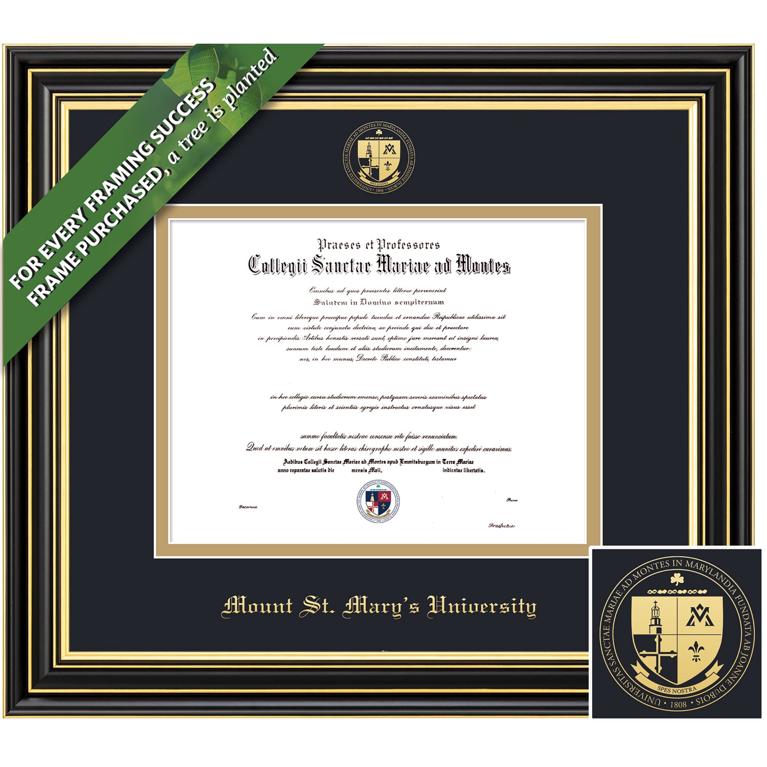 Framing Success 8.5 x 11 Prestige Gold Emb School Seal Bachelors Diploma Frame