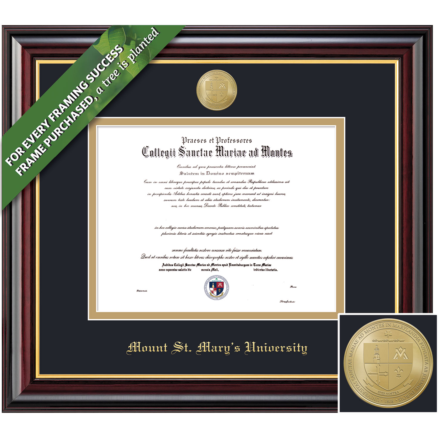 Framing Success 11 x 14 Windsor Gold Medallion Masters Diploma Frame