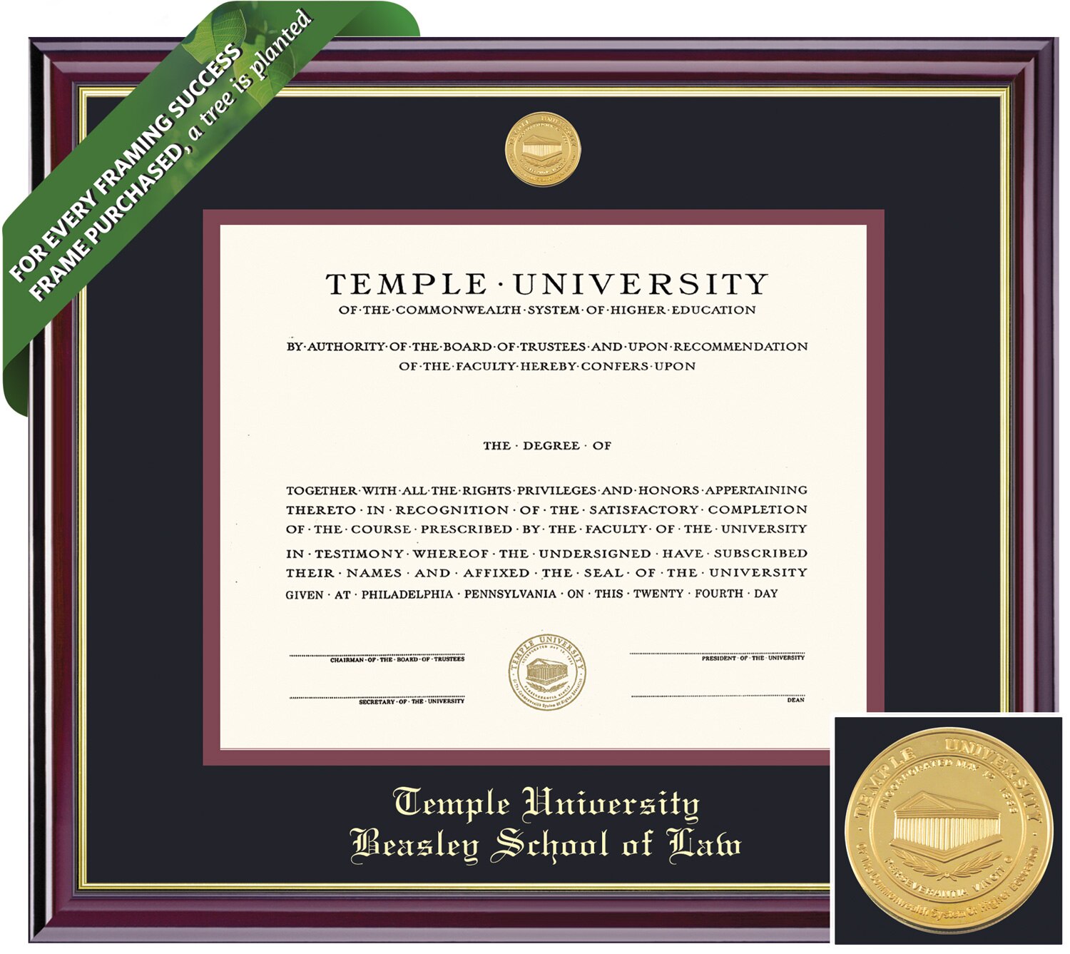 Framing Success 11 x 14 Windsor Gold Medallion Law Diploma Frame