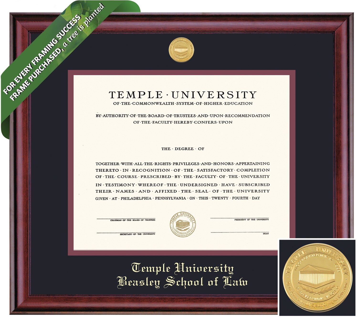 Framing Success 11 x 14 Classic Gold Medallion Law Diploma Frame