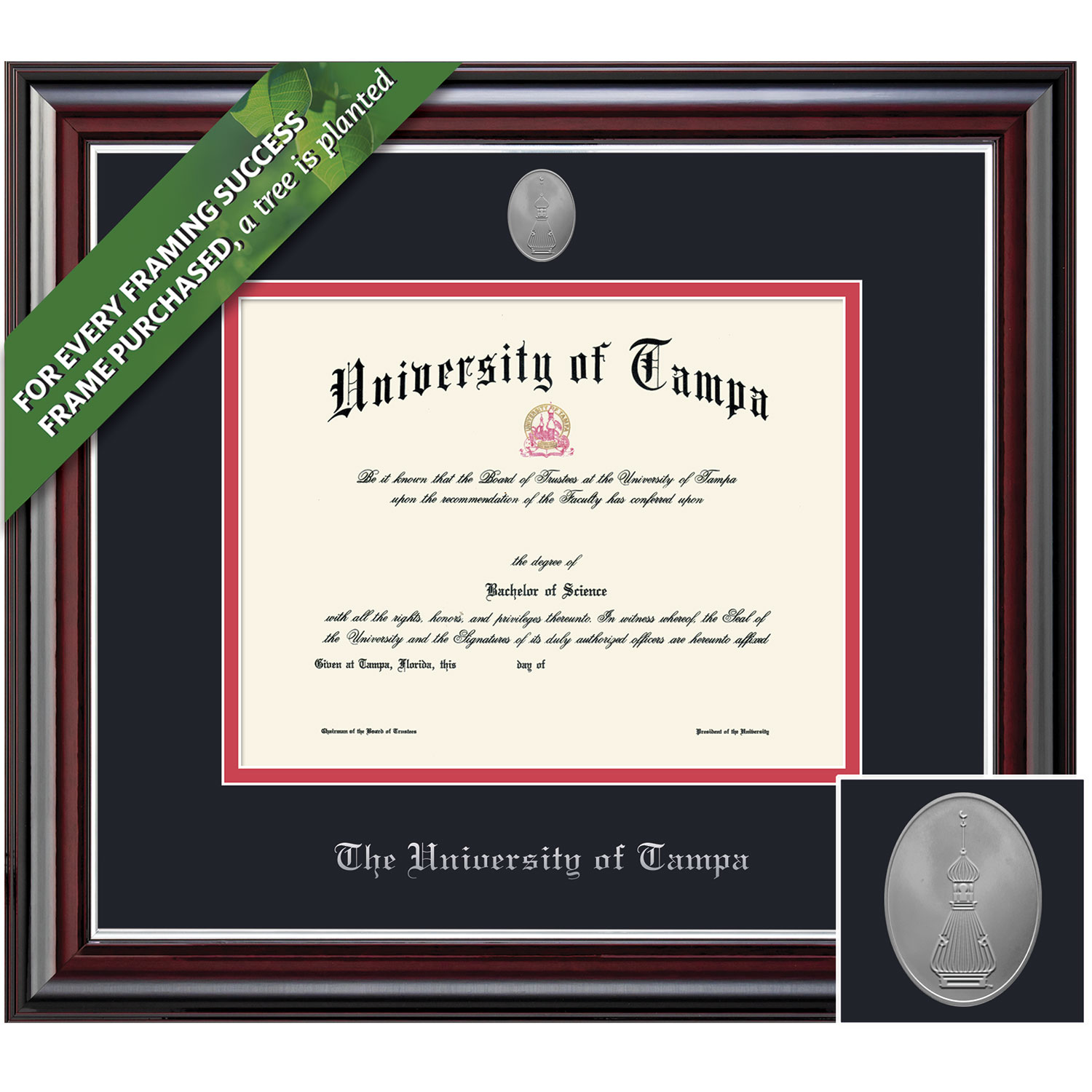 Framing Success 11 x 14 Jefferson Silver Medallion Doctorate Diploma Frame