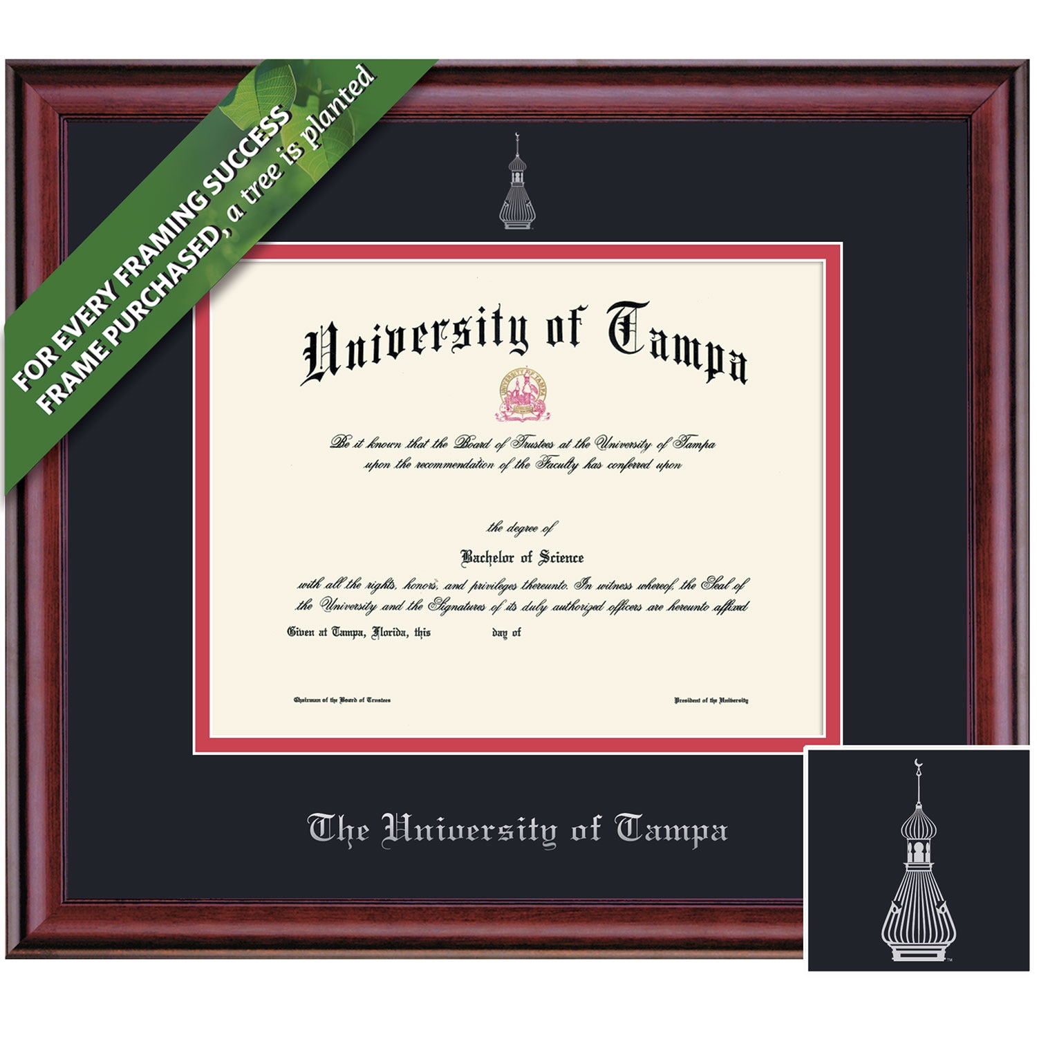 Framing Success 8 x 10 Classic Silver Embossed School Seal Bachelors Diploma Frame