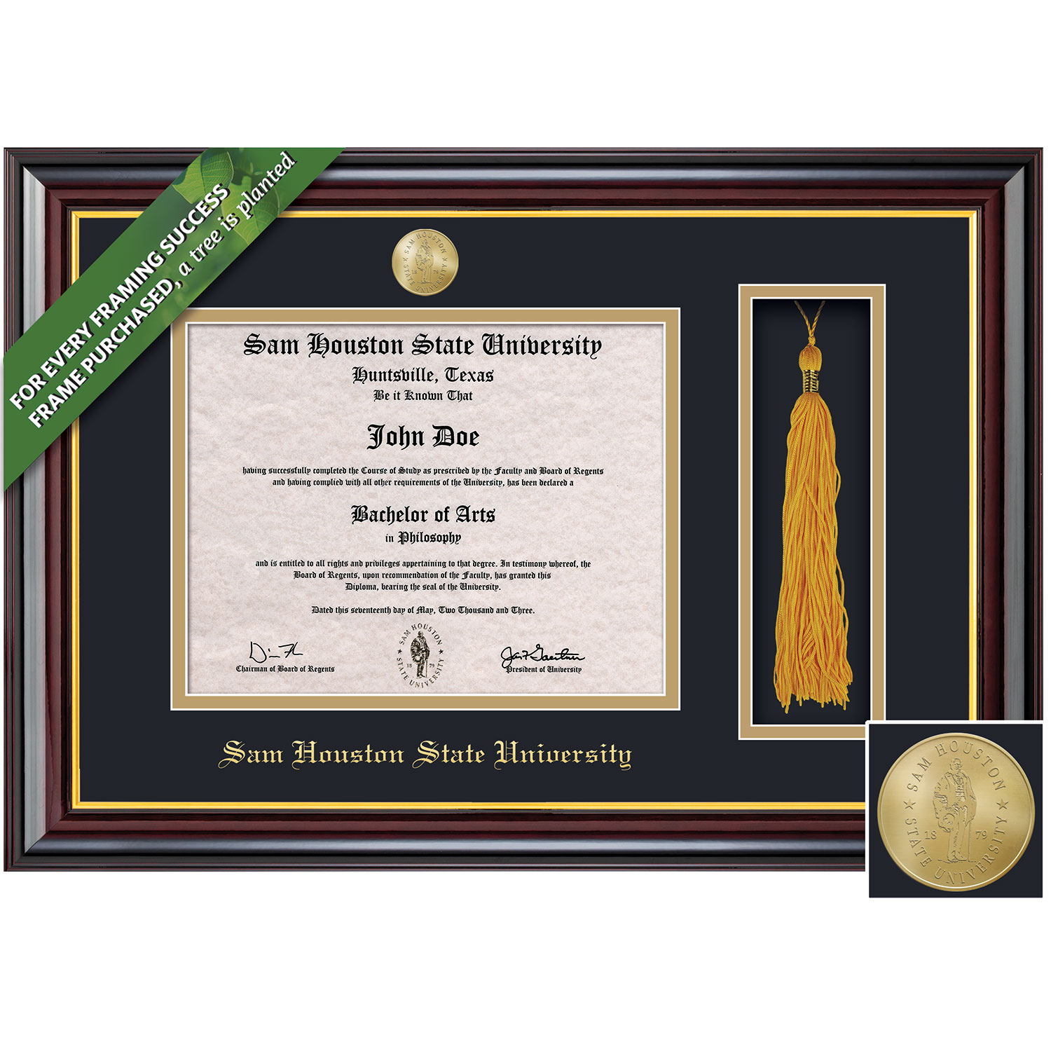Framing Success 11 x 14 Windsor Gold Medallion Bachelors, Masters, Doctorate Diploma/Tassel Frame