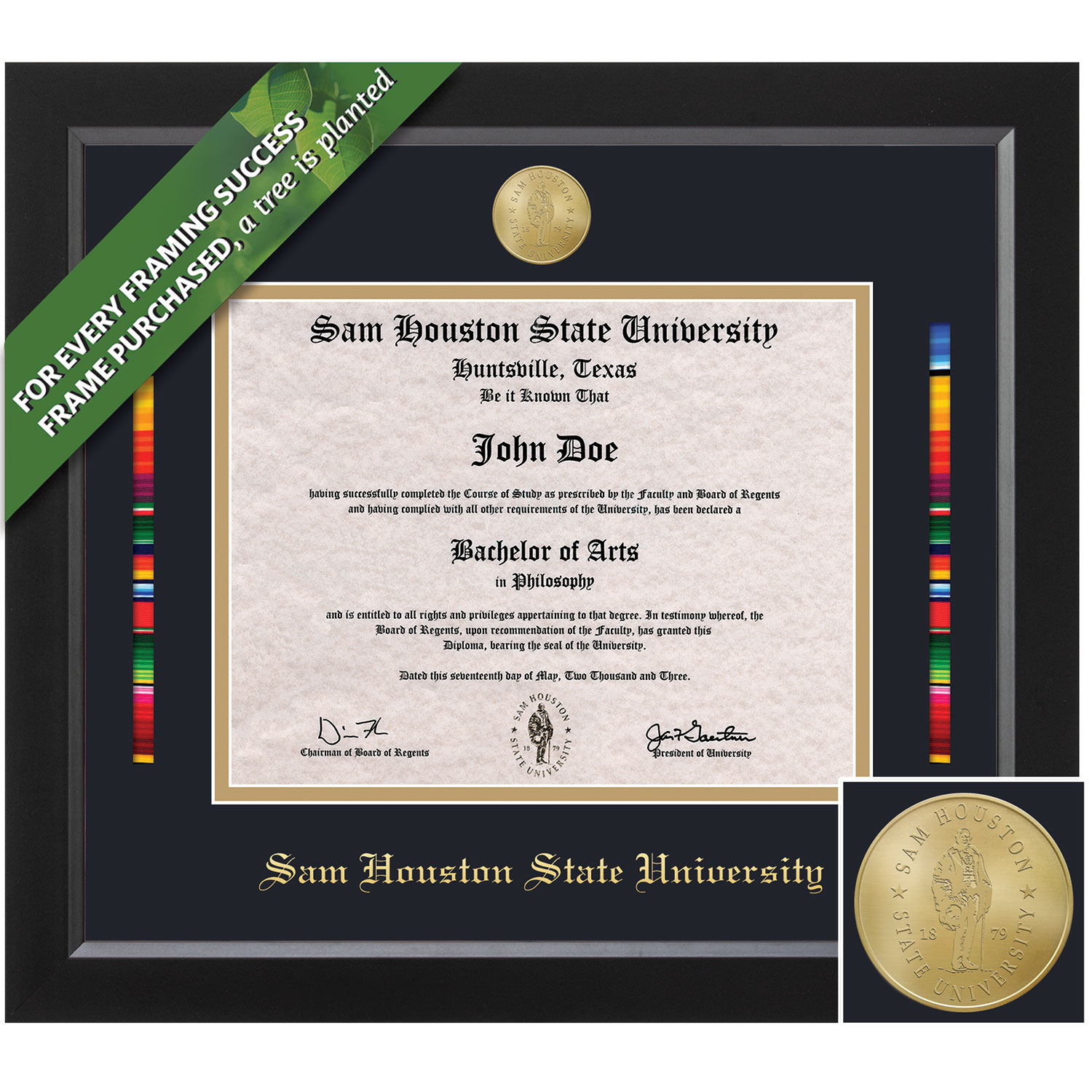 Framing Success 11 x 14 Spirit Gold Medallion Bachelors Masters Doctorate Diploma/Serape Ribbon Frame