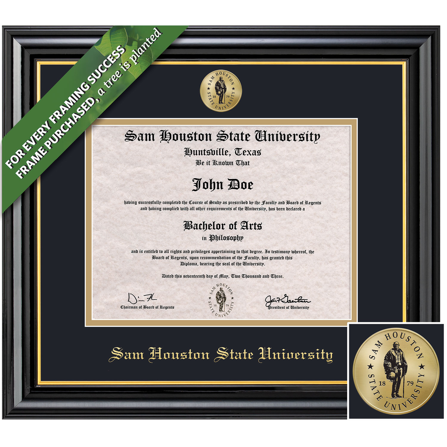 Framing Success 11 x 14 Coronado Color Enamel Custom Minted Medallion of School Seal Bachelors, Masters, Doctorate Diploma Frame