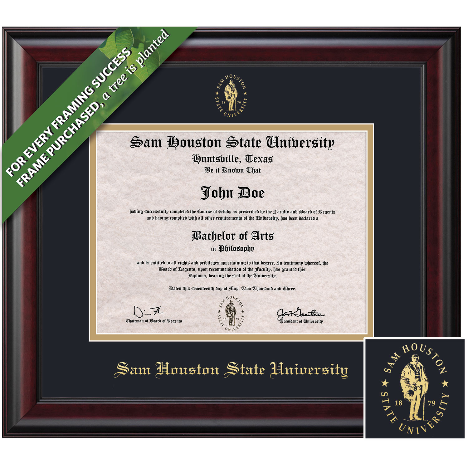 Framing Success 11 x 14 Classic Gold Embossed School Seal Bachelors, Masters, Doctorate Diploma Frame