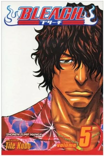 Bleach Vol. 5