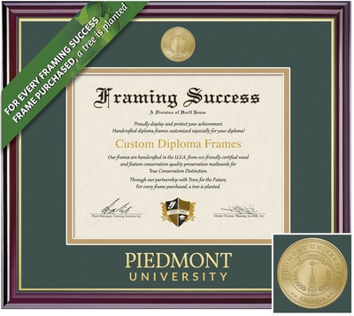 Framing Success 8.5 x 11 Windsor Gold Medallion Doctorate Diploma Frame