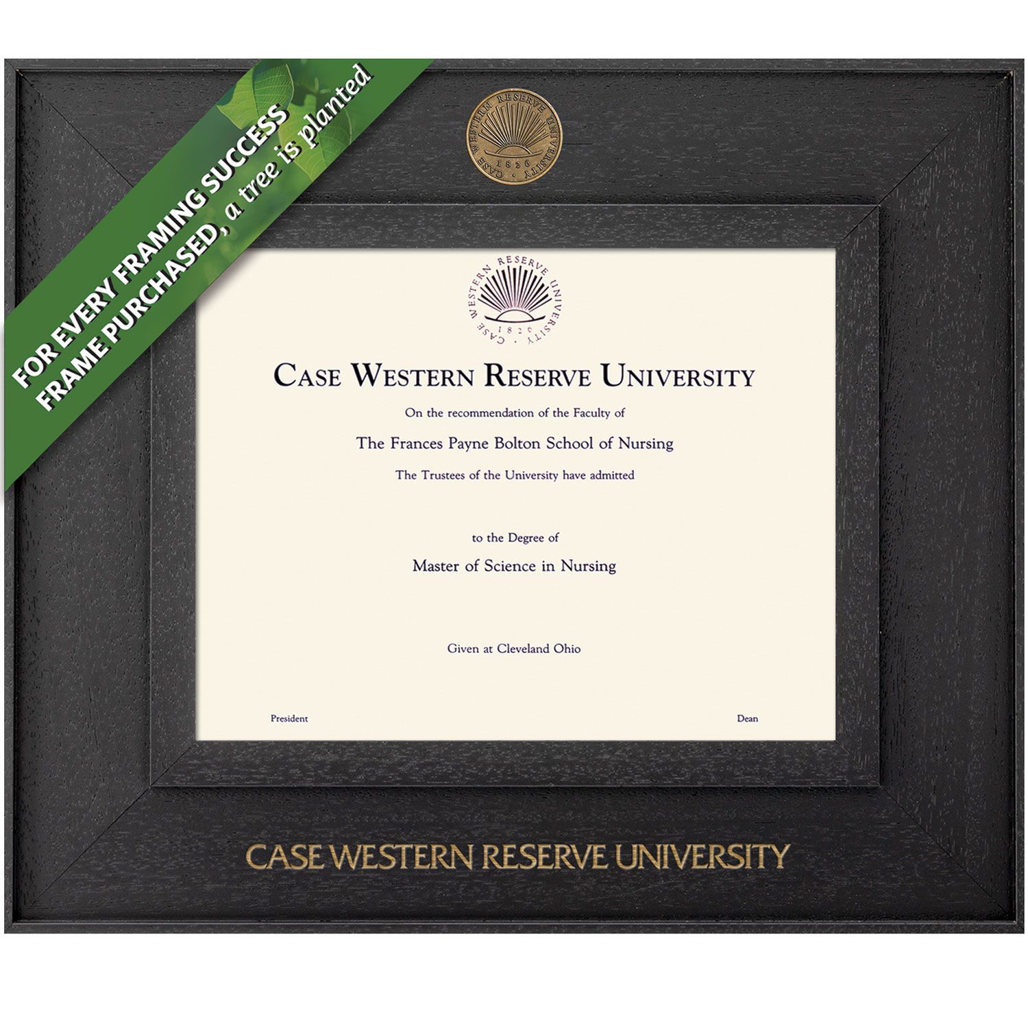 Framing Success 11 x 14 Cavalier Antiqued Medallion Bachelors, Masters, Doctorate Diploma Frame