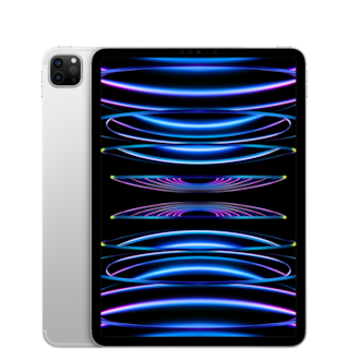 11-inch iPad Pro Wi-Fi + Cellular 1TB - Silver