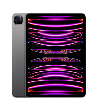 11-inch iPad Pro Wi-Fi + Cellular 2TB - Space Gray