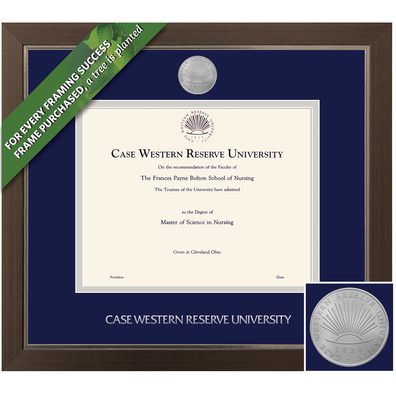 Framing Success 11 x 14 Metro Silver Medallion Bachelors, Masters, Doctorate Diploma Frame
