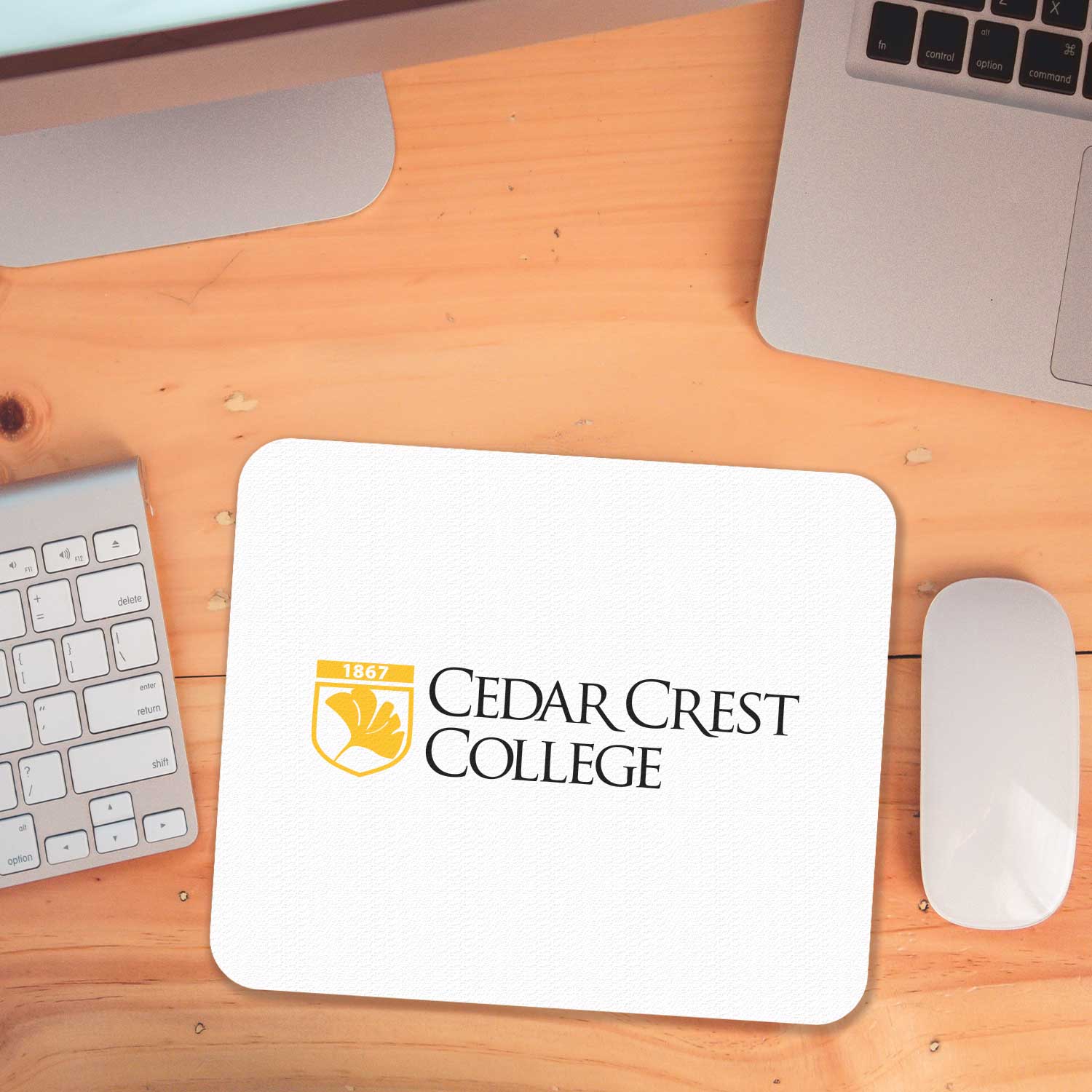 Colormax Mouse Pad