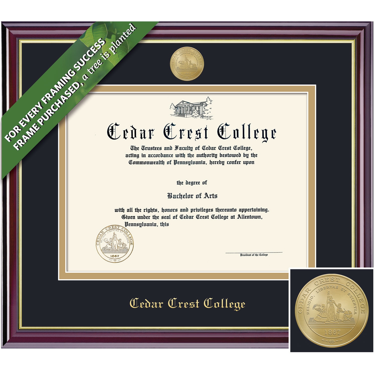 Framing Success 14 x 17 Windsor Gold Medallion Doctorate Diploma Frame