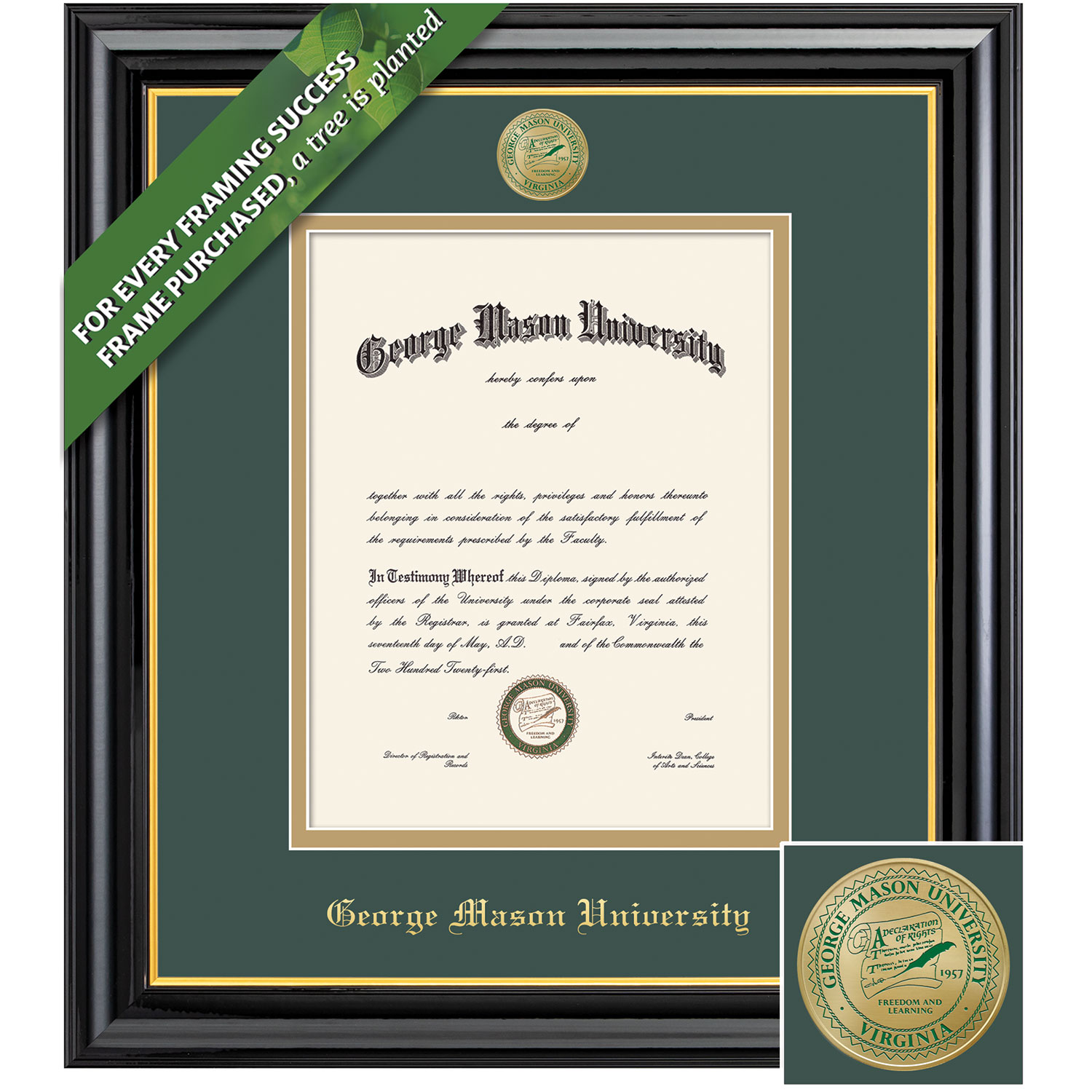 Framing Success 14 x 10 Coronado Colored Medallion Bachelors, Masters, PhD Diploma Frame