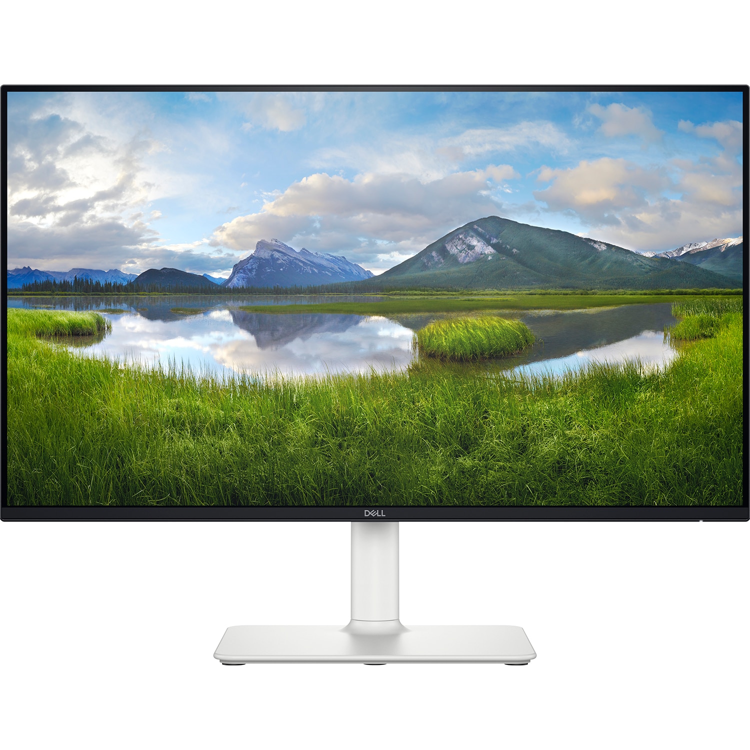 Dell S2425HS 24" Monitor - DEPT