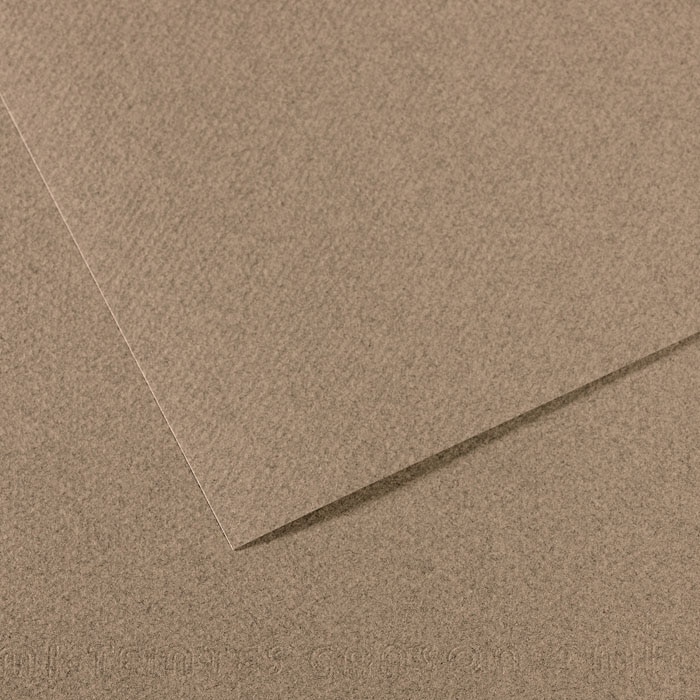 Canson Mi-Teintes Paper Sheet, Steel Gray