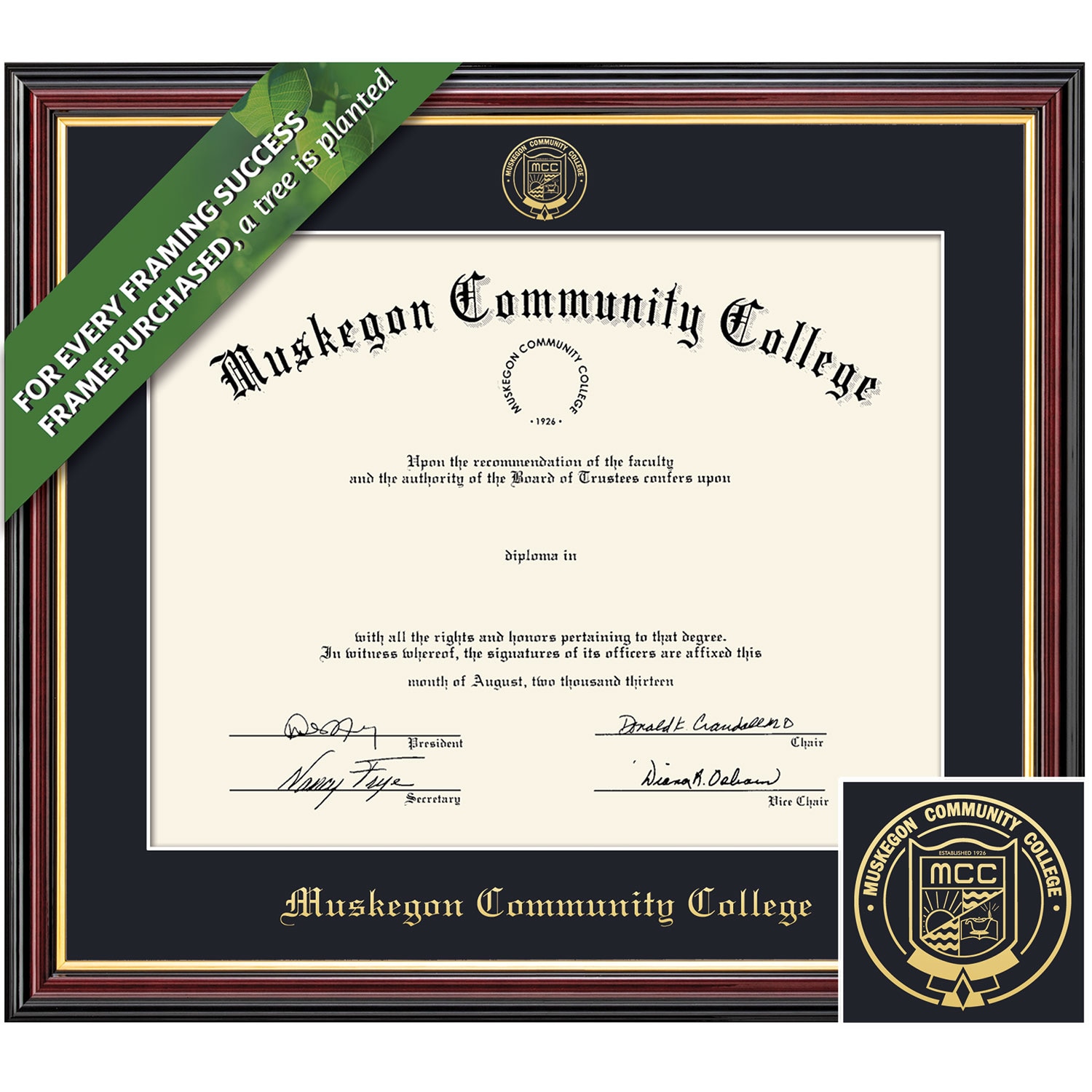 Framing Success 6 x 8 Academic Gold Embossed School Seal Associates Diploma Frame