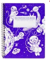 Kittens in Space Coilbound Decomposition Book