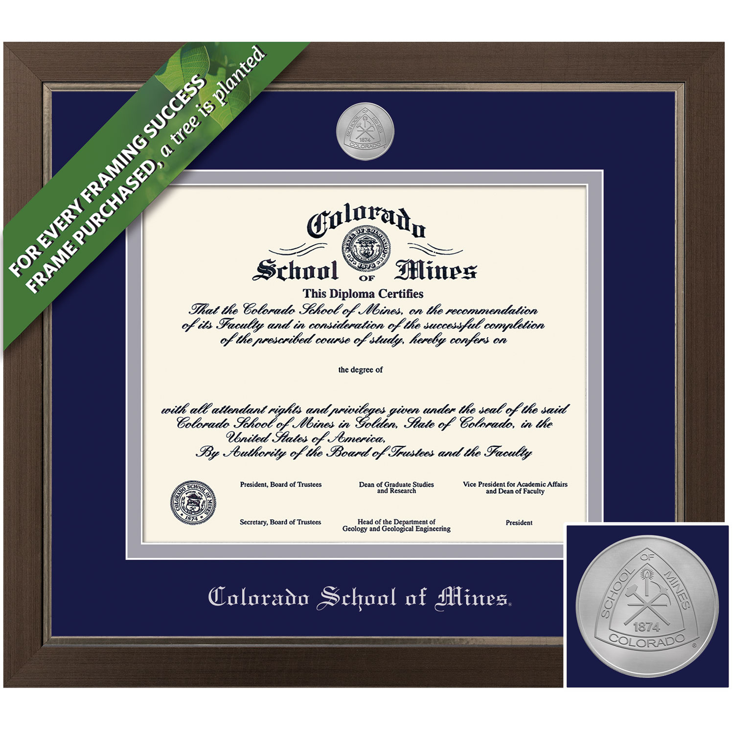 Framing Success 8.5 x 11 Metro Silver Medallion Bachelors, Masters, Ph.D Diploma Frame