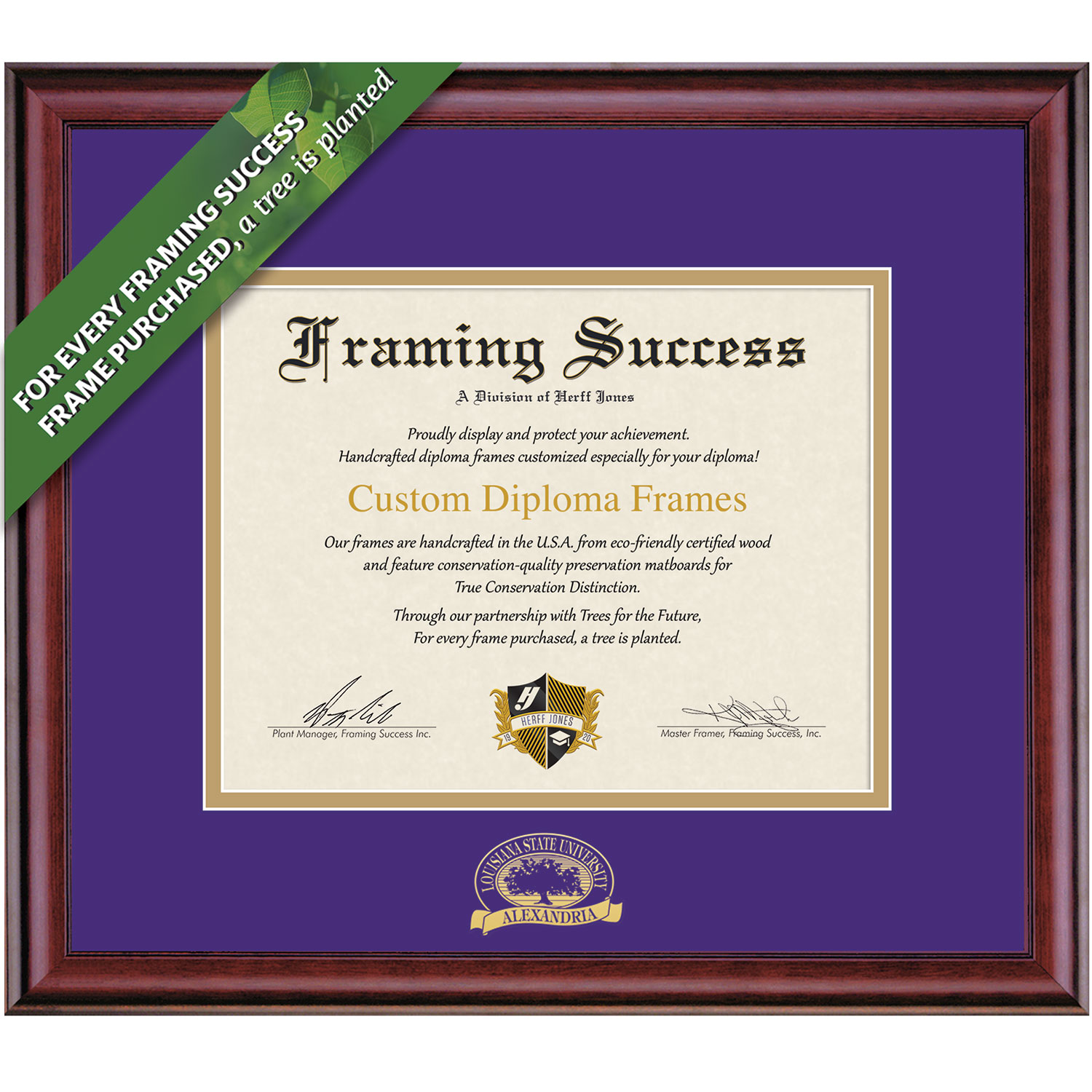 Framing Success 8.5 x 11 Classic Gold Embossed School Name Bachelors Diploma Frame