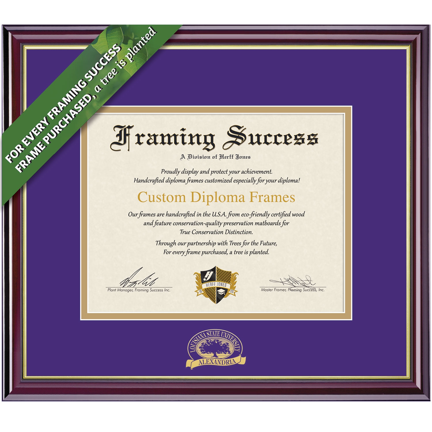 Framing Success 8.5 x 11 Windsor Gold Embossed School Name Bachelors Diploma Frame
